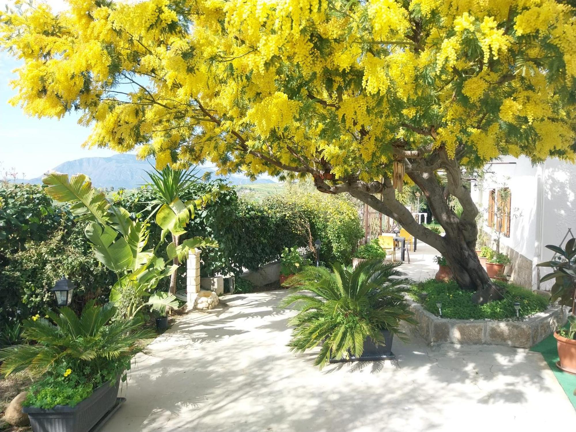 Casa Lachesi Caccamo Luaran gambar